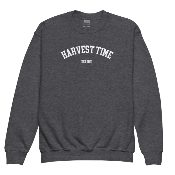 Youth 1991 Varsity Sweatshirt - Image 3