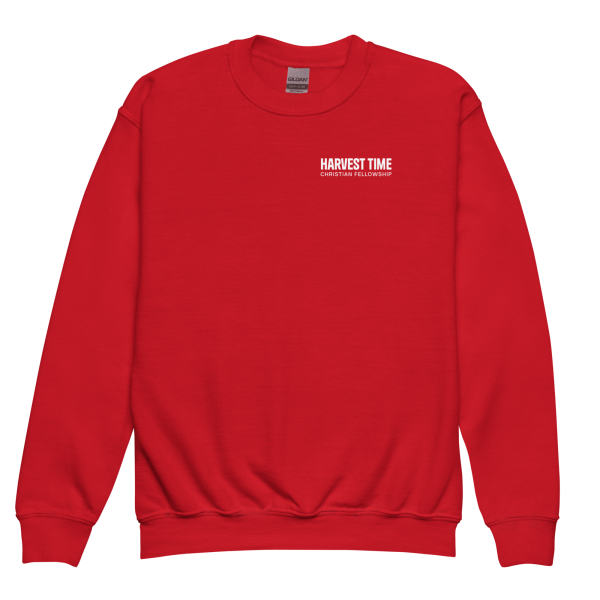 Youth Wordmark Sweatshirt - Image 2