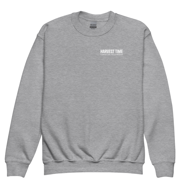 Youth Wordmark Sweatshirt - Image 4